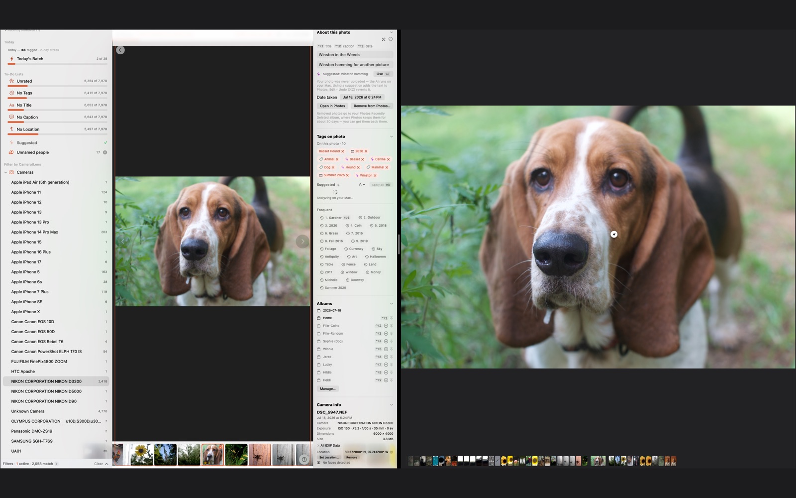 TAG Lens beside Apple Photos — the tags TAG Lens wrote appearing as real keywords in Photos' own Info window